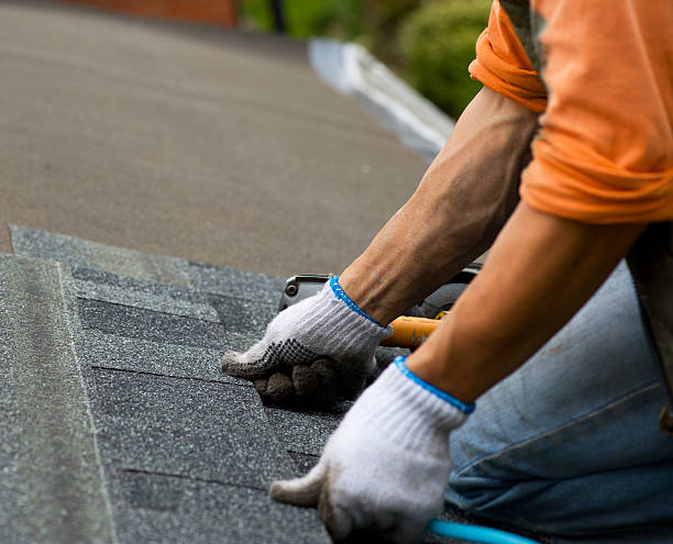 Best Local Roofing Companies  in Crittenden, KY